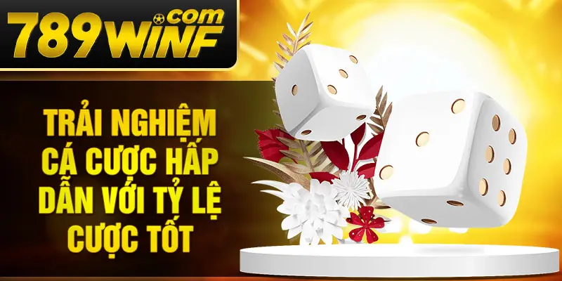 Trải nghiệm cá cược hấp dẫn với tỷ lệ cược tốt